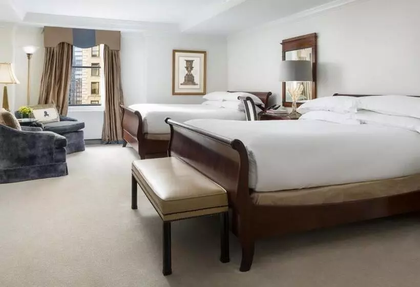 Fotos del hotel Michelangelo:  19