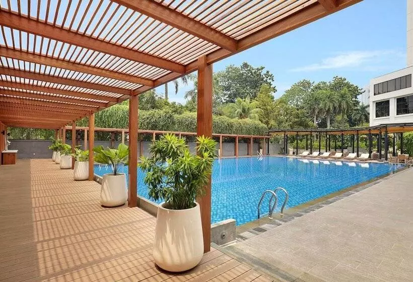 Fotos del hotel Century Park:  11