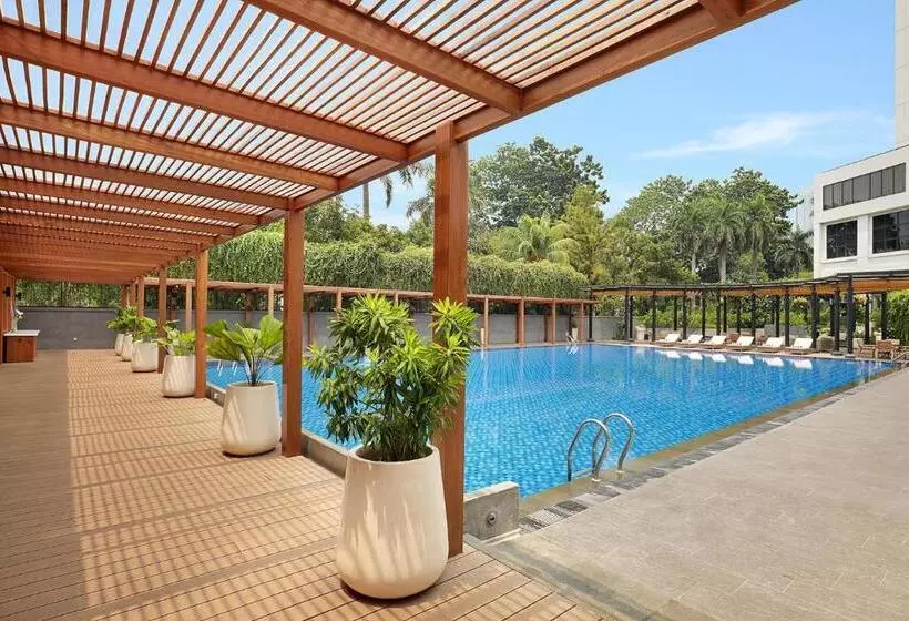 Fotos del hotel Century Park:  7