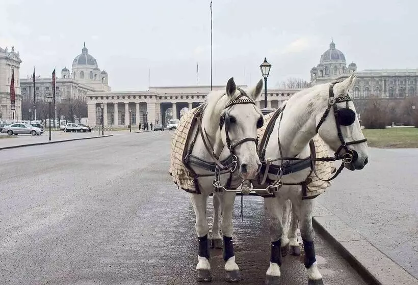 Fotos del hotel Mercure Wien City:  9