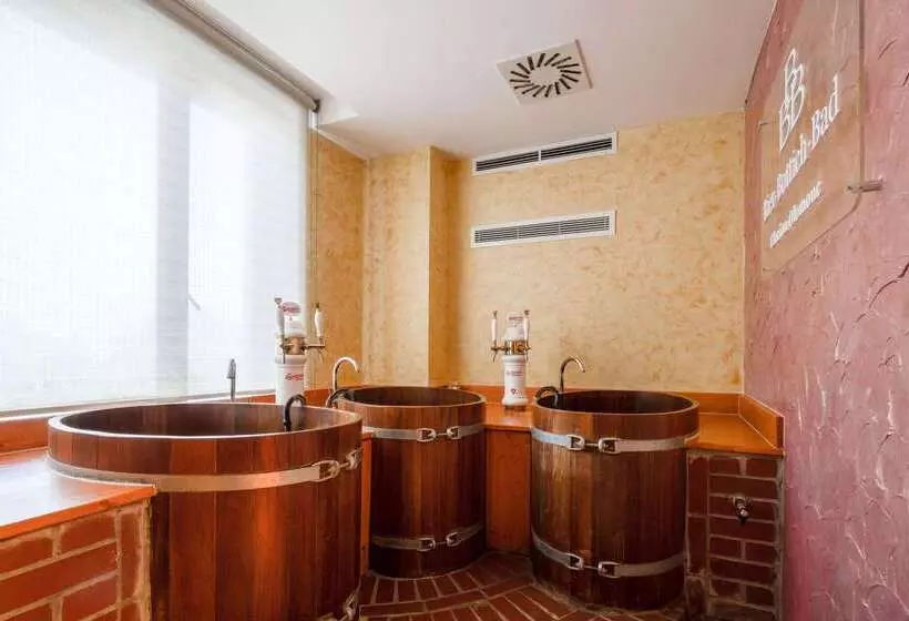 Fotos del hotel Clarion Congress Hotel Olomouc:  9