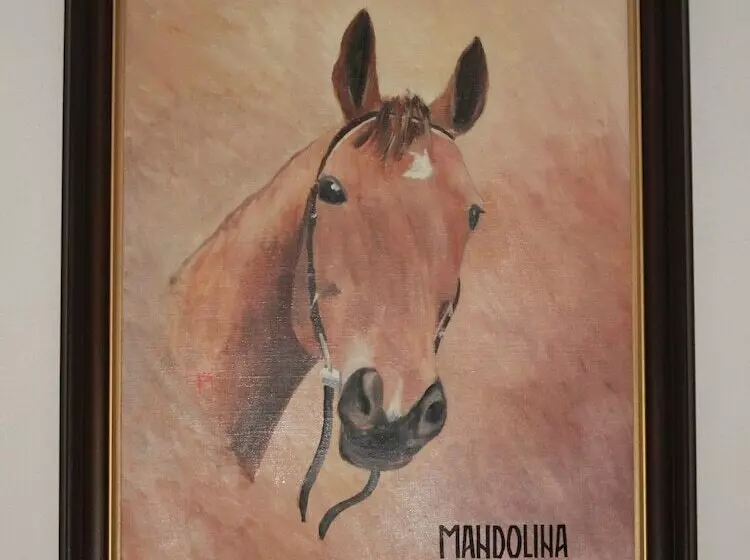 Fotos del hotel Meran:  15