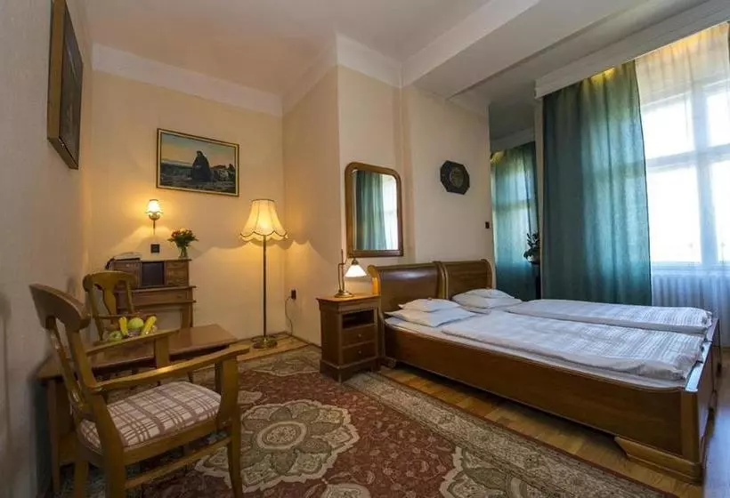 Fotos del hotel Aranybika:  12