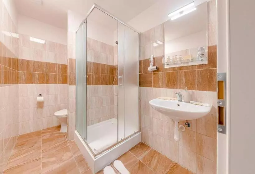 Fotos del hotel Koruna:  10