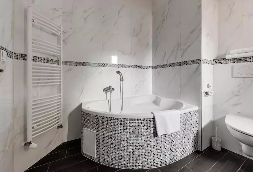 Fotos del hotel Koruna:  12