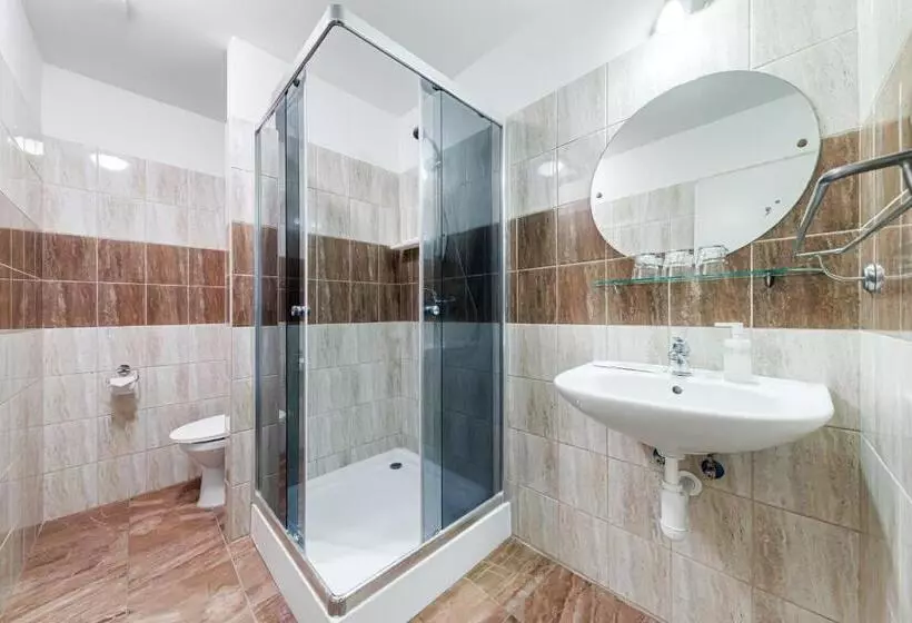 Fotos del hotel Koruna:  4