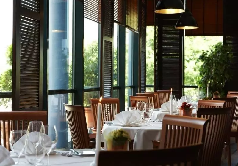 Fotos del hotel Trans World Hotel Donauwelle:  3