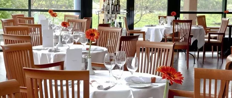 Fotos del hotel Trans World Hotel Donauwelle:  17