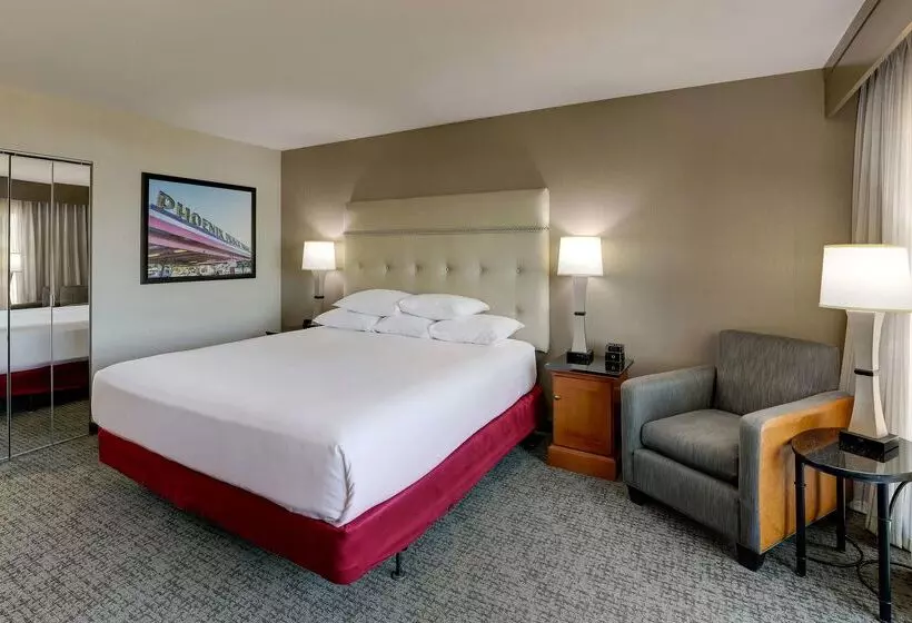 Fotos del hotel Drury Inn & Suites Phoenix Airport:  13