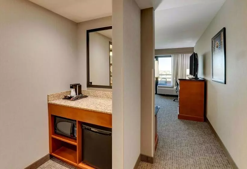 Fotos del hotel Drury Inn & Suites Phoenix Airport:  12