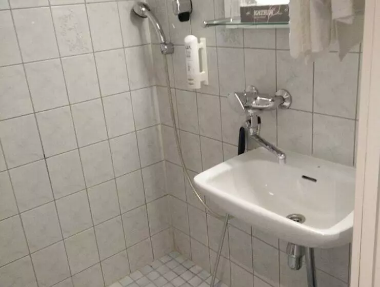 Fotos del hotel Arthur:  21