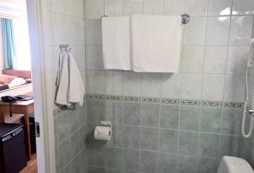 Fotos del hotel Arthur:  5