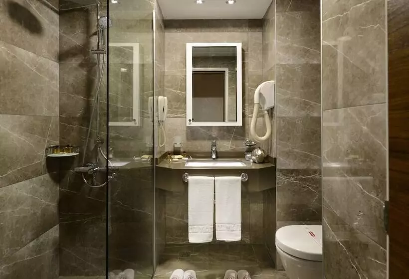 Fotos del hotel Yigitalp Istanbul:  7