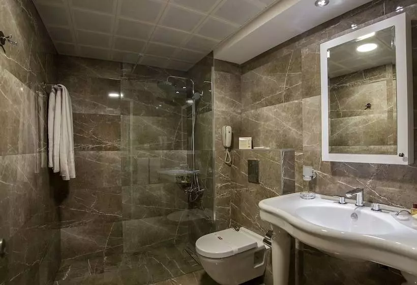Fotos del hotel Yigitalp Istanbul:  12