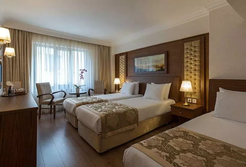 Fotos del hotel Yigitalp Istanbul:  21