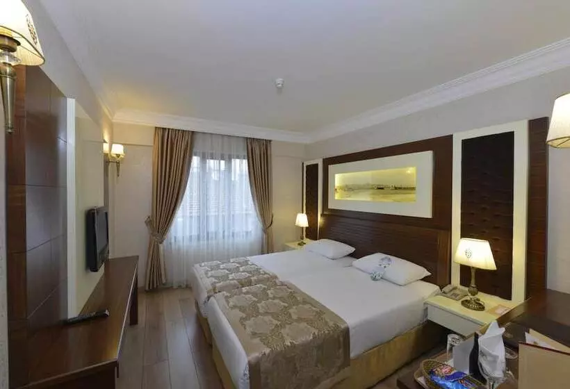 Fotos del hotel Yigitalp Istanbul:  24