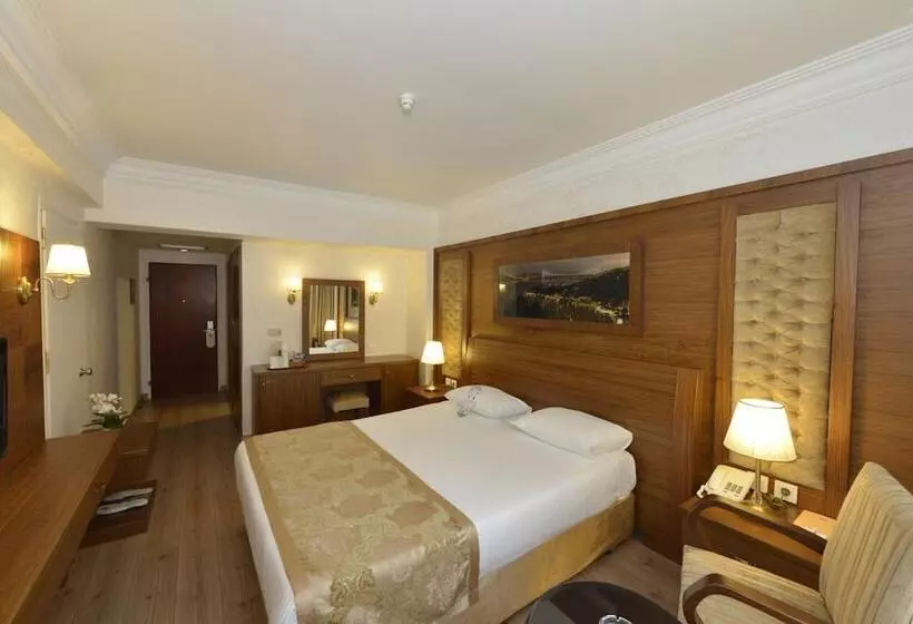 Fotos del hotel Yigitalp Istanbul:  1