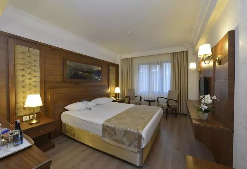Fotos del hotel Yigitalp Istanbul:  8