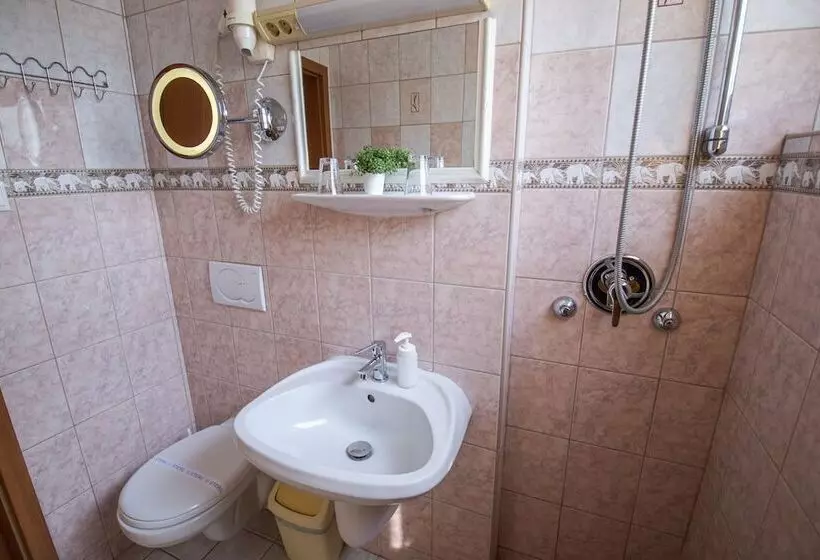 Fotos del hotel Grand Richter:  9