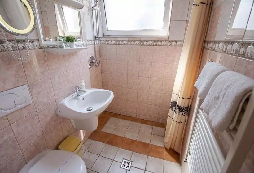 Fotos del hotel Grand Richter:  11