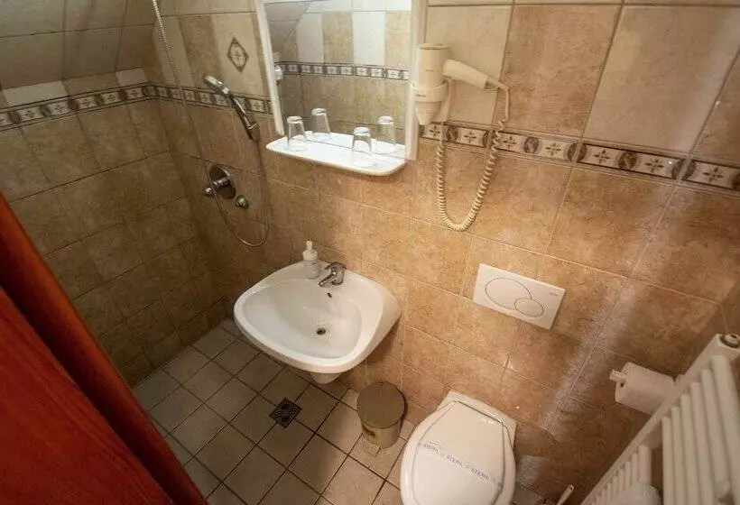 Fotos del hotel Grand Richter:  13