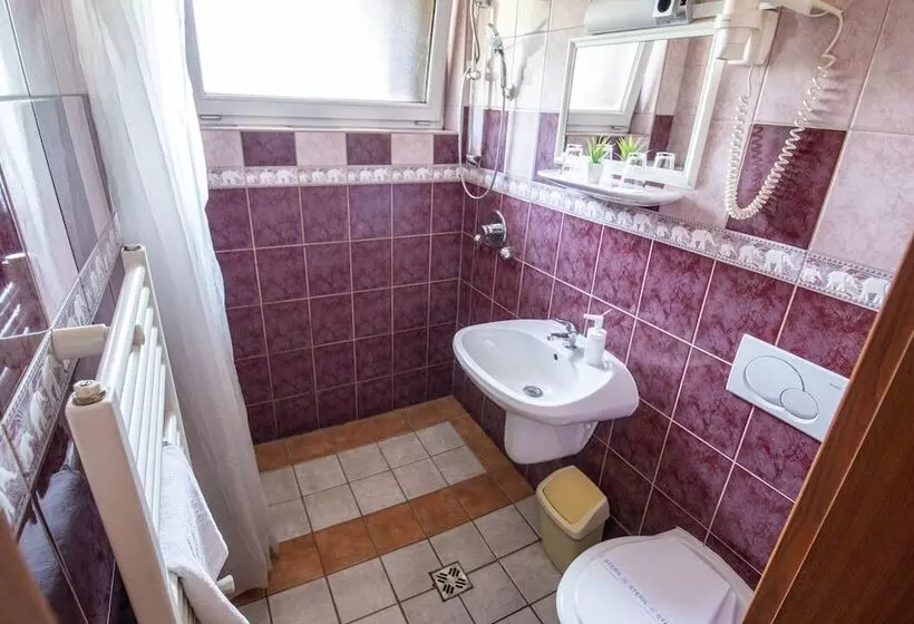 Fotos del hotel Grand Richter:  3