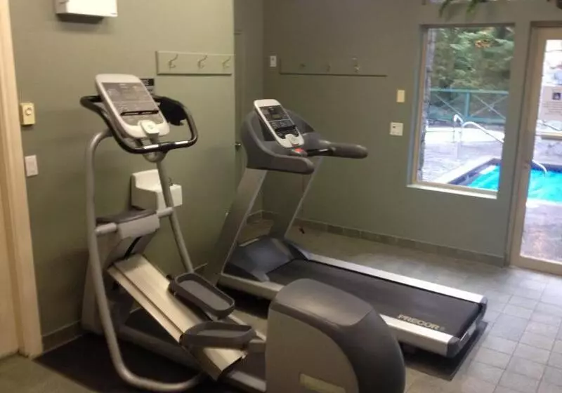 Fotos del hotel Pinnacle Hotel Whistler:  4