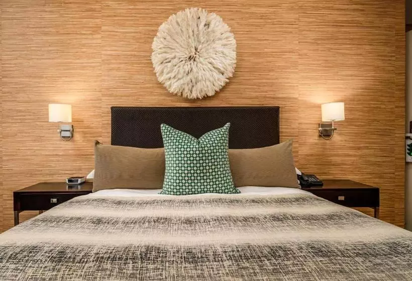 Fotos del hotel Paxton:  20