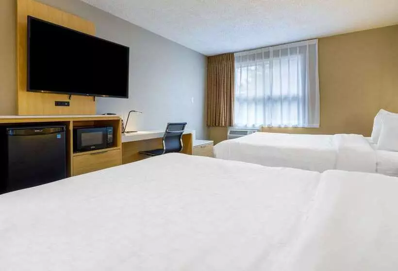 Fotos del hotel Clarion Pointe Quebec Airport:  14