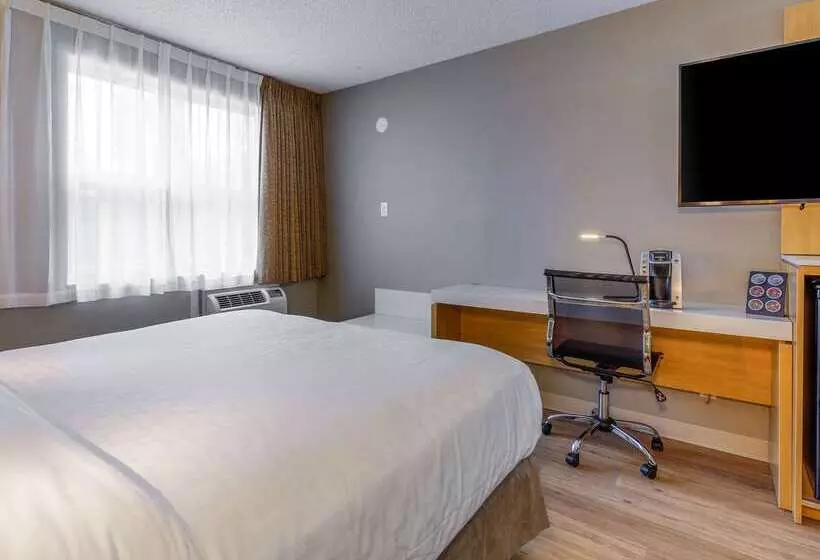 Fotos del hotel Clarion Pointe Quebec Airport:  20