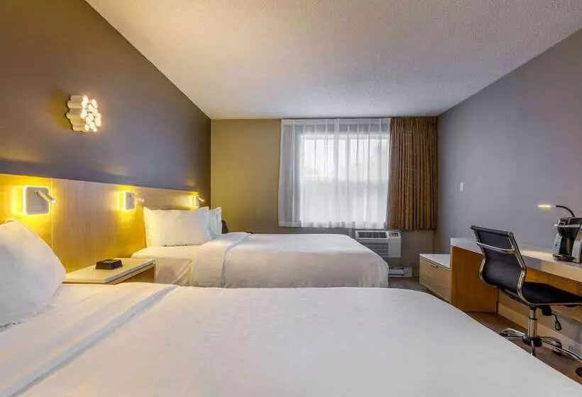 Fotos del hotel Clarion Pointe Quebec Airport:  15