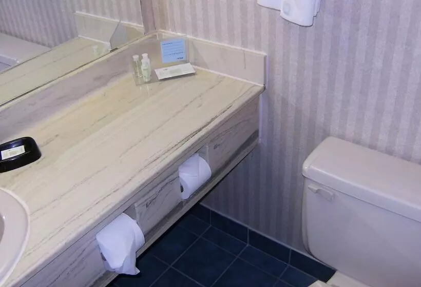 Fotos del hotel Clifton Victoria Inn At The Falls:  8