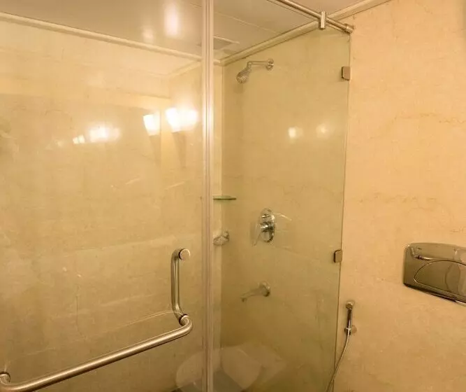 Fotos del hotel Sagar Plaza:  22