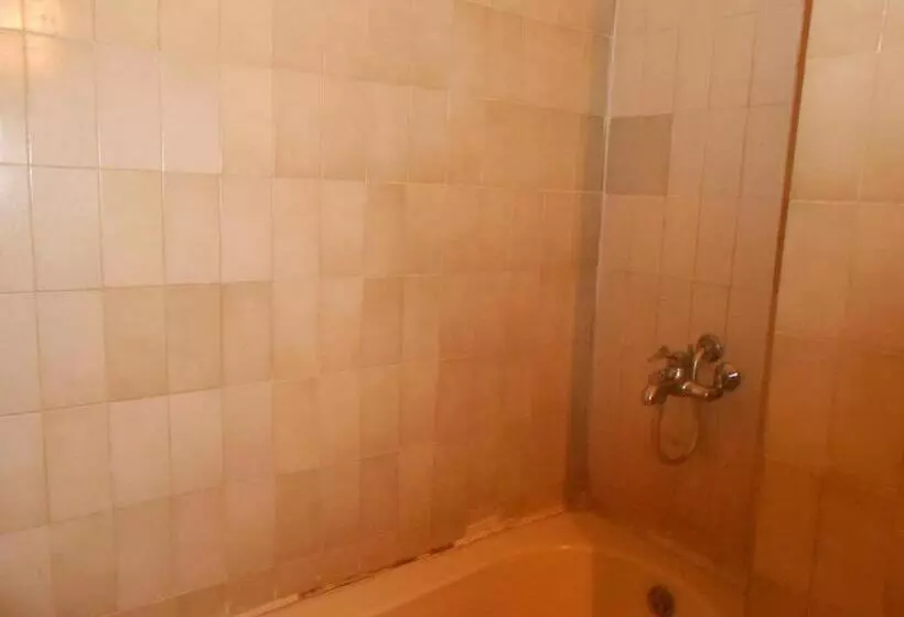 Fotos del hotel Siddharth:  12