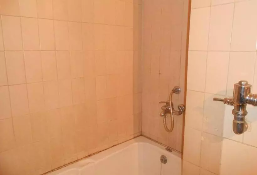 Fotos del hotel Siddharth:  6