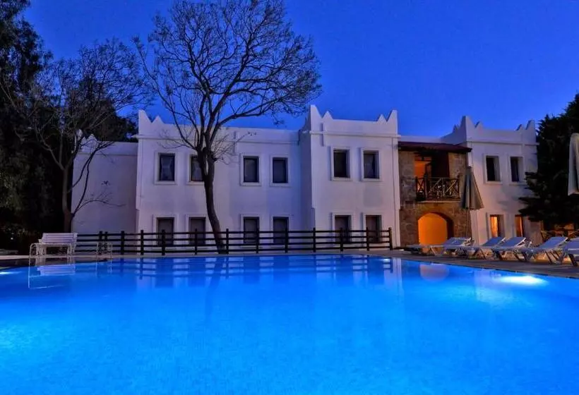 Fotos del hotel Atrium:  12