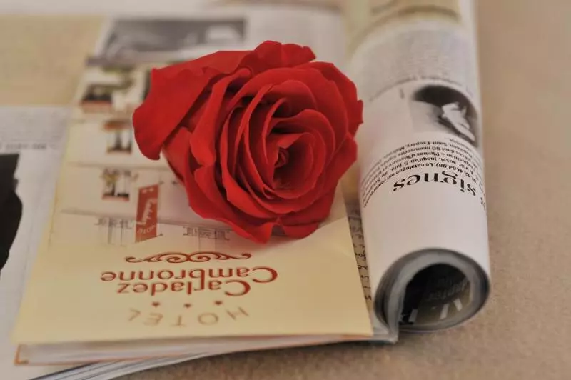 Fotos del hotel Carladez Cambronne:  4