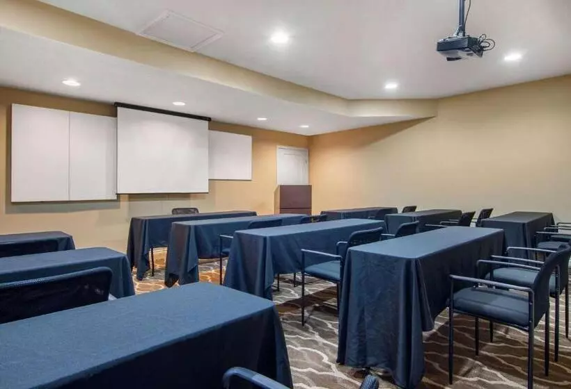 Fotos del hotel Quality Suites Atlanta Buckhead Village North:  16