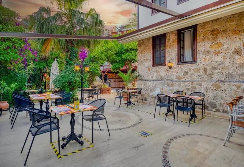 Fotos del hotel Dogan:  14