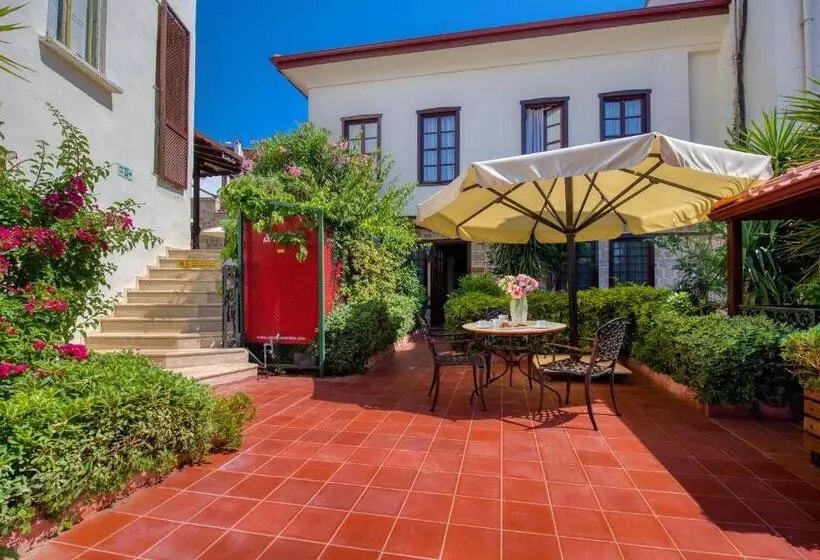 Fotos del hotel Dogan:  17