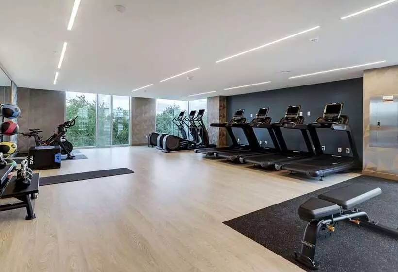 Fotos del hotel Hilton University Of Houston:  3