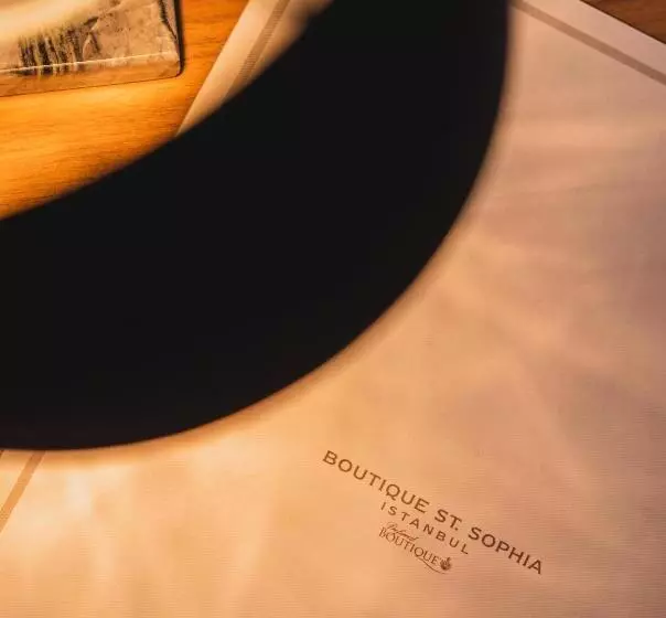 Fotos del hotel Boutique Saint Sophia:  11