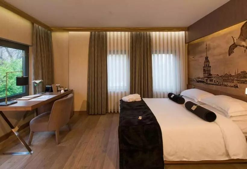 Fotos del hotel Boutique Saint Sophia:  8