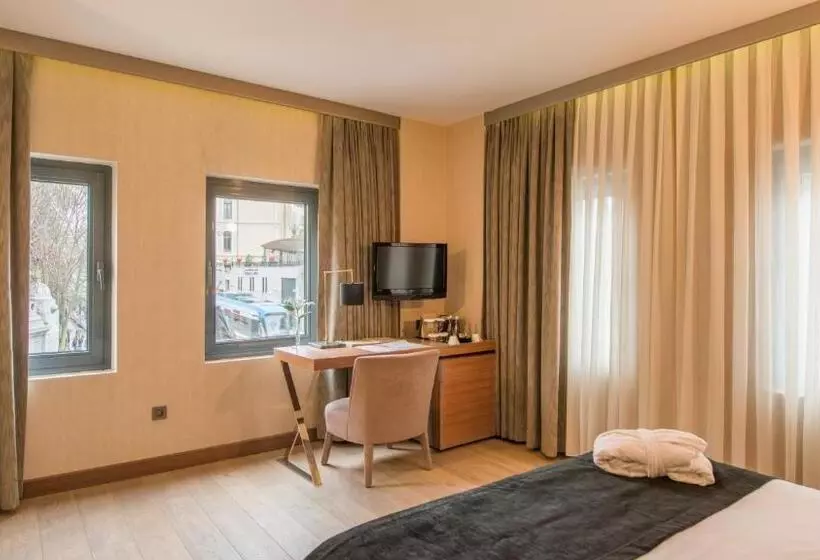 Fotos del hotel Boutique Saint Sophia:  17