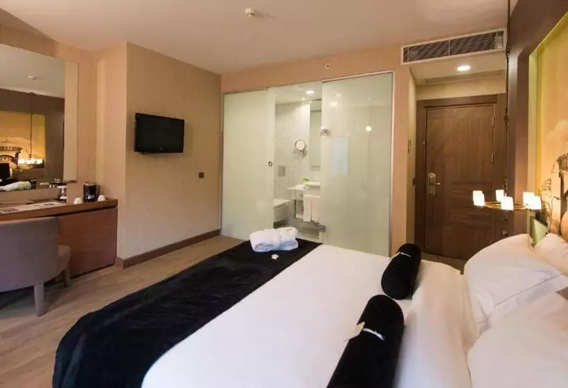 Fotos del hotel Boutique Saint Sophia:  19