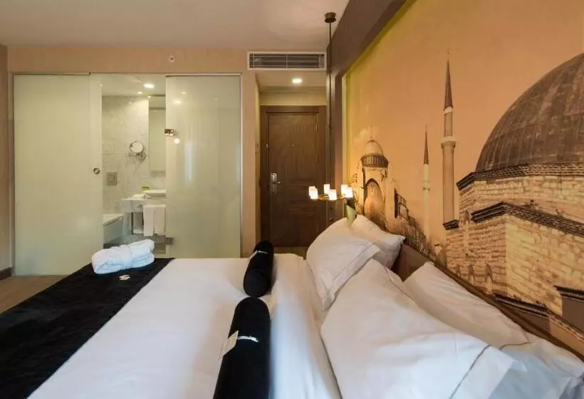 Fotos del hotel Boutique Saint Sophia:  18