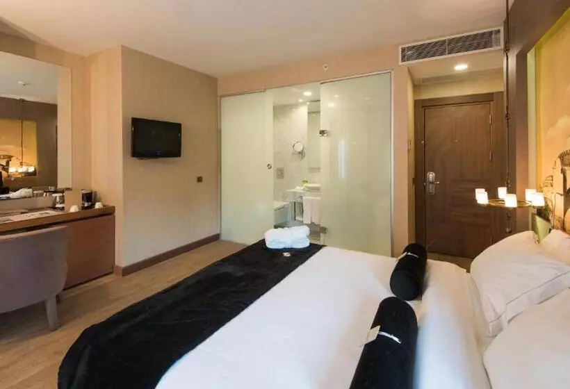 Fotos del hotel Boutique Saint Sophia:  23