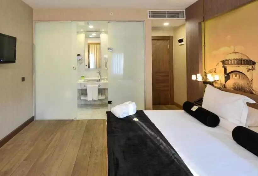 Fotos del hotel Boutique Saint Sophia:  15