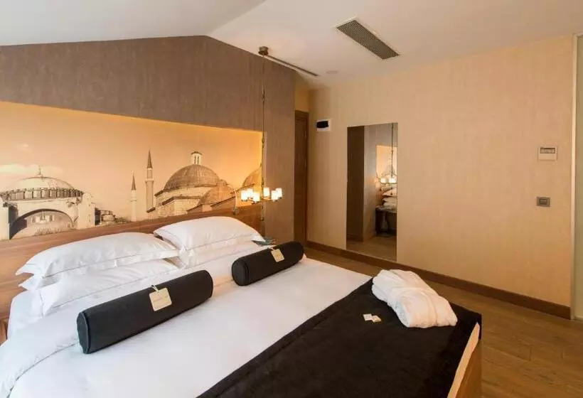 Fotos del hotel Boutique Saint Sophia:  12