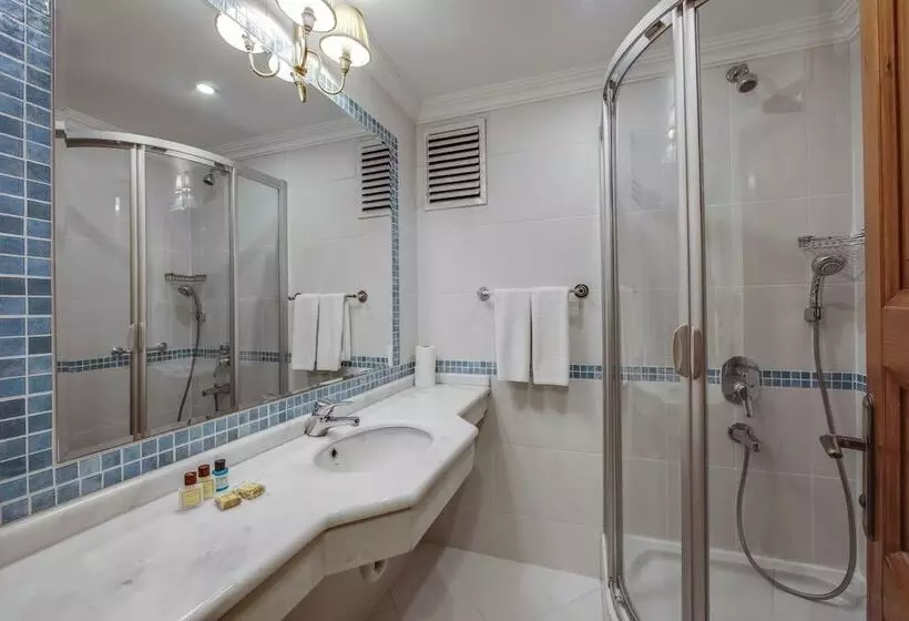 Fotos del hotel Sari Konak:  10